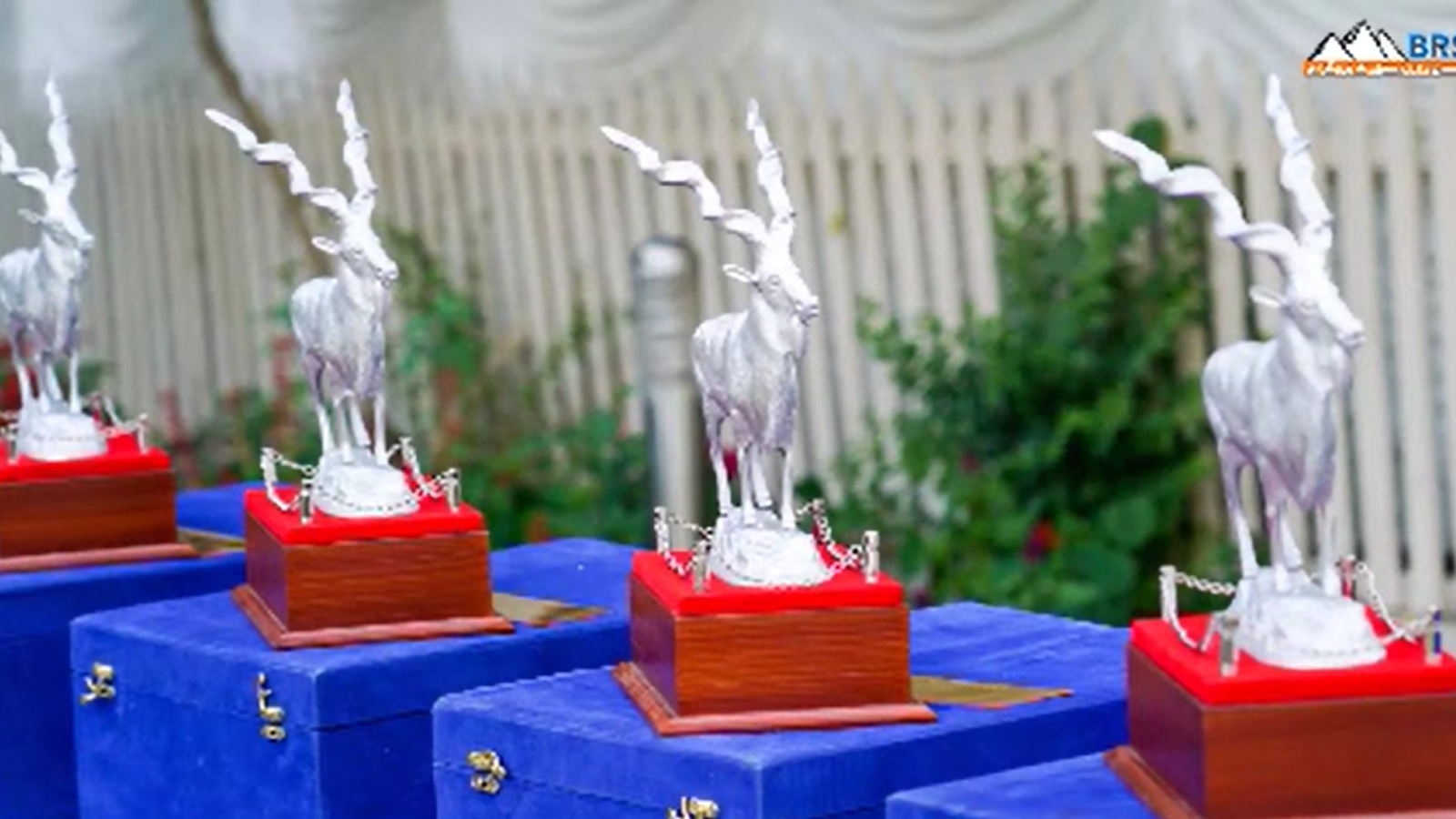 Screenshot 2024-07-23 111531